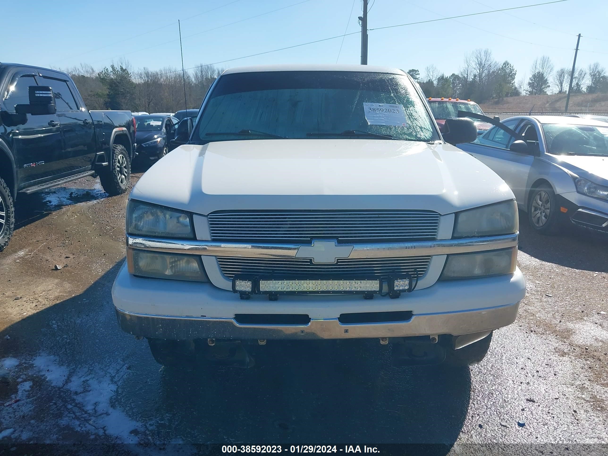 Photo 11 VIN: 1GCEK19B35E247419 - CHEVROLET SILVERADO 