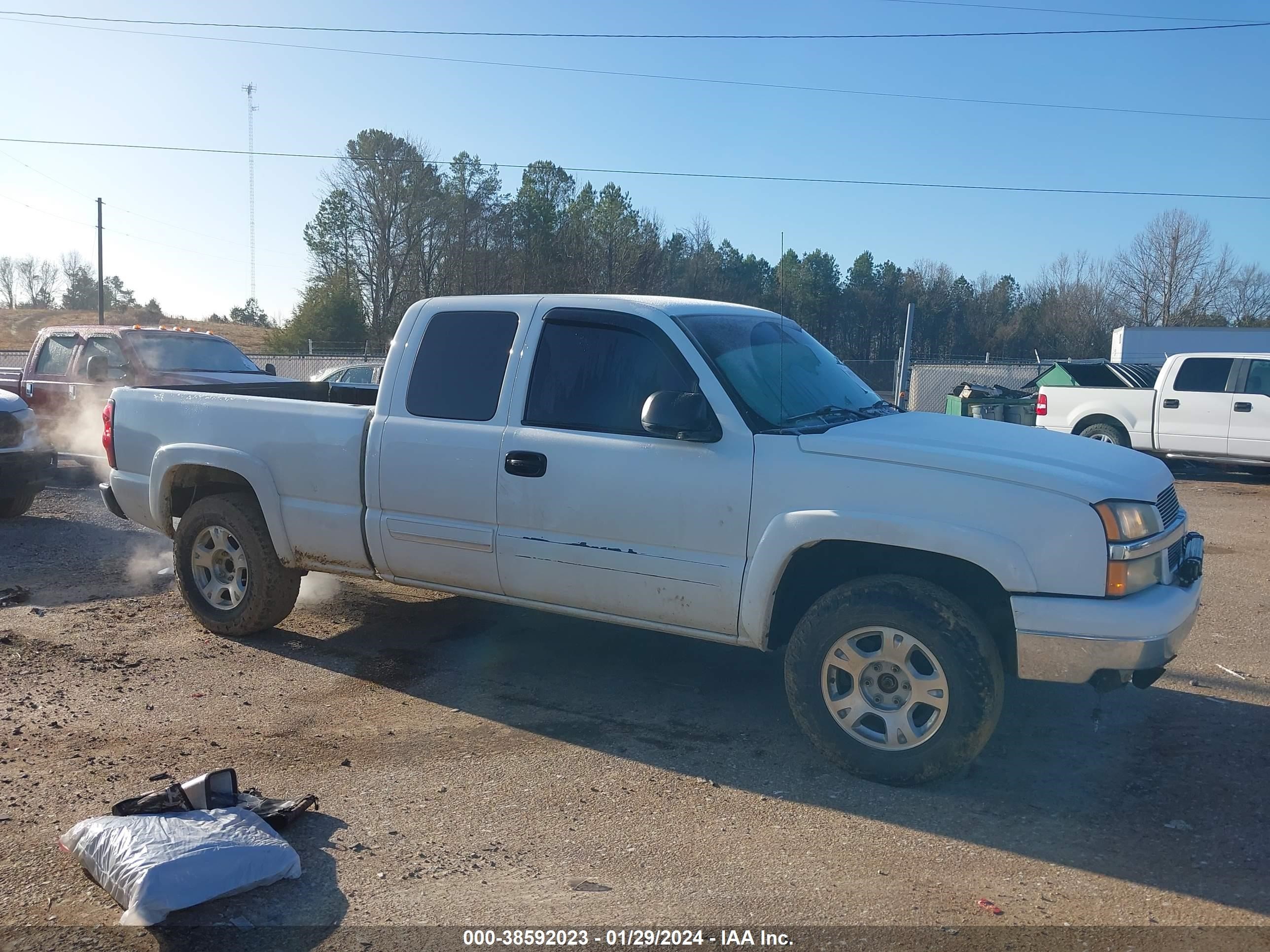 Photo 12 VIN: 1GCEK19B35E247419 - CHEVROLET SILVERADO 