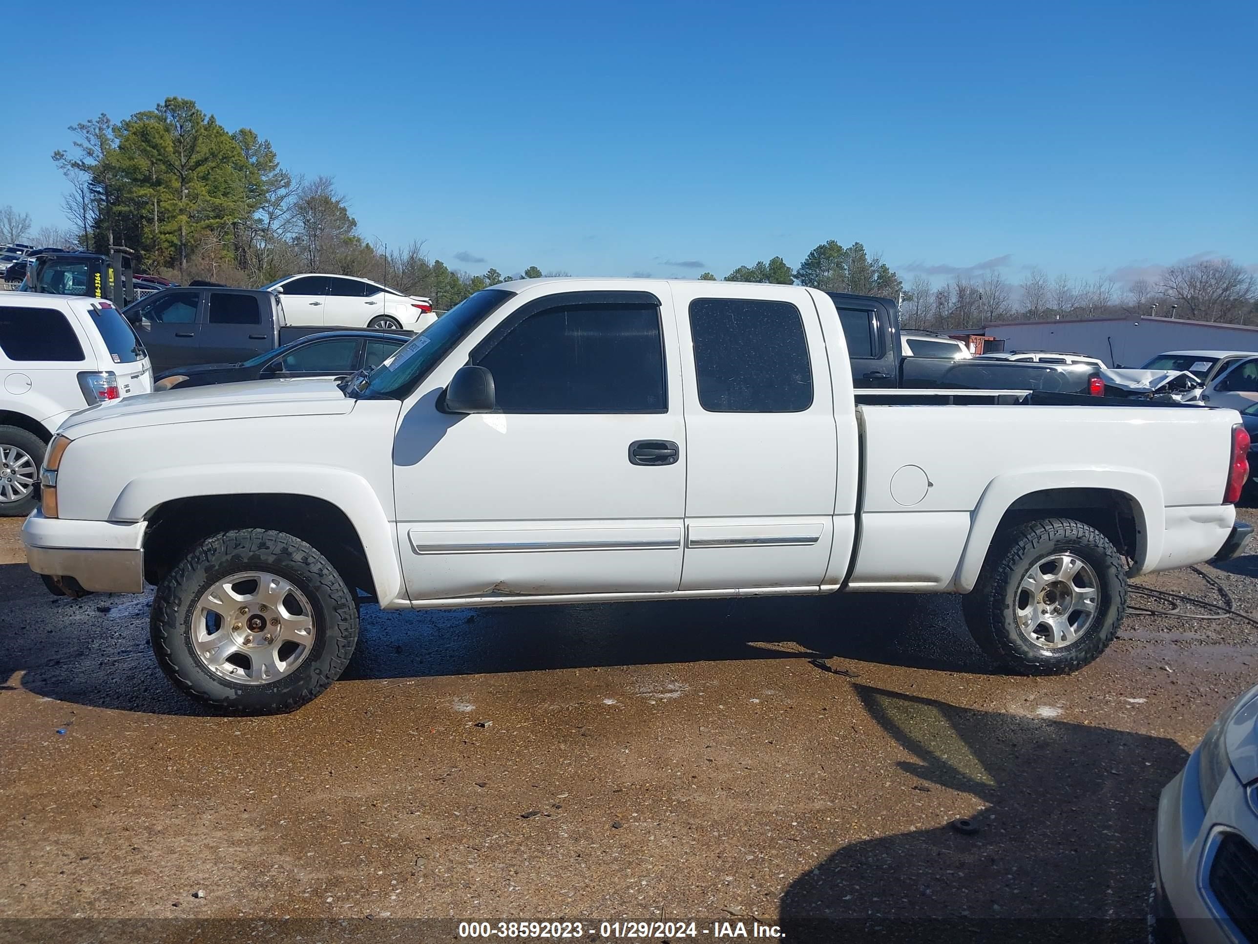 Photo 13 VIN: 1GCEK19B35E247419 - CHEVROLET SILVERADO 