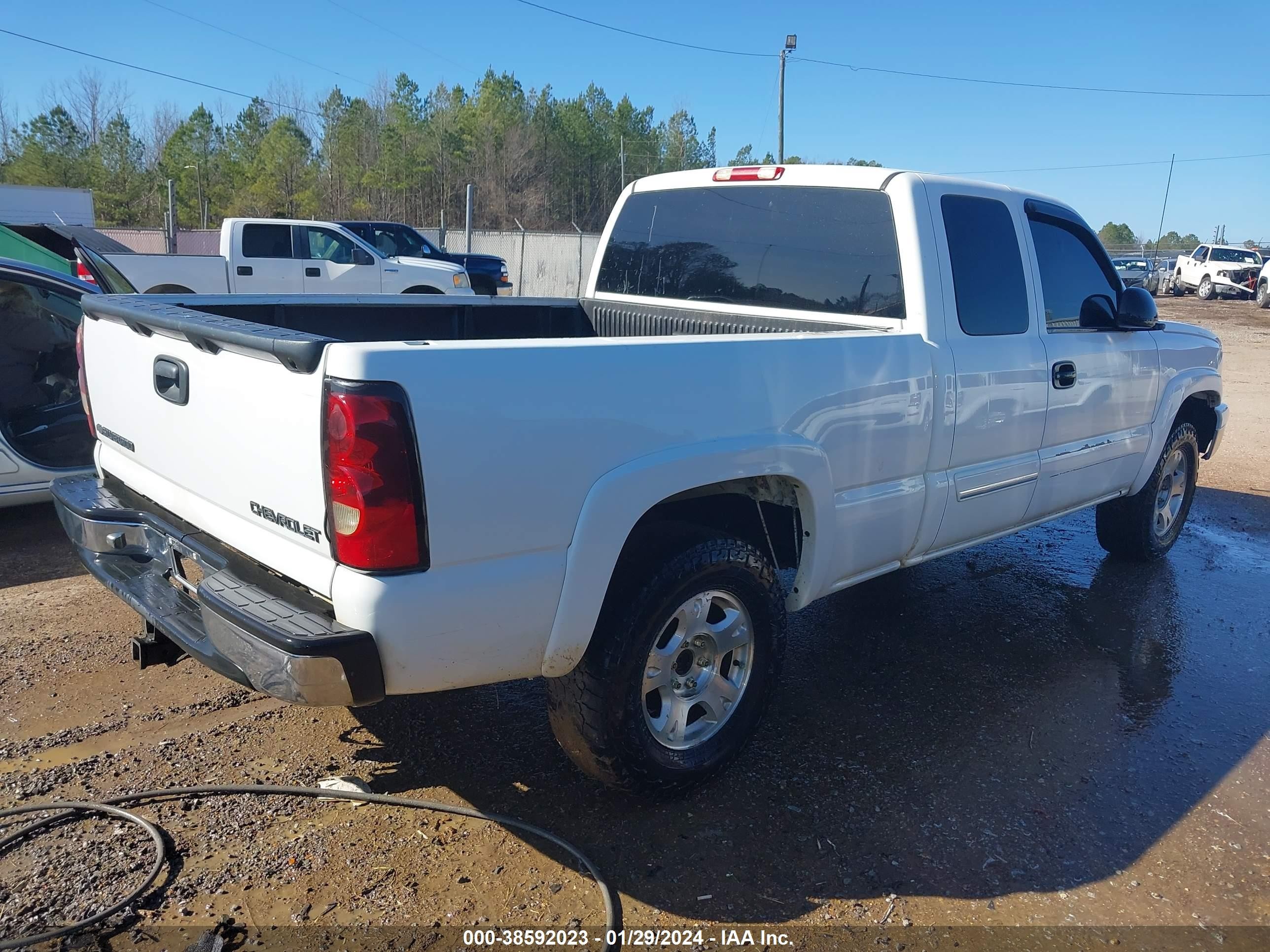 Photo 3 VIN: 1GCEK19B35E247419 - CHEVROLET SILVERADO 