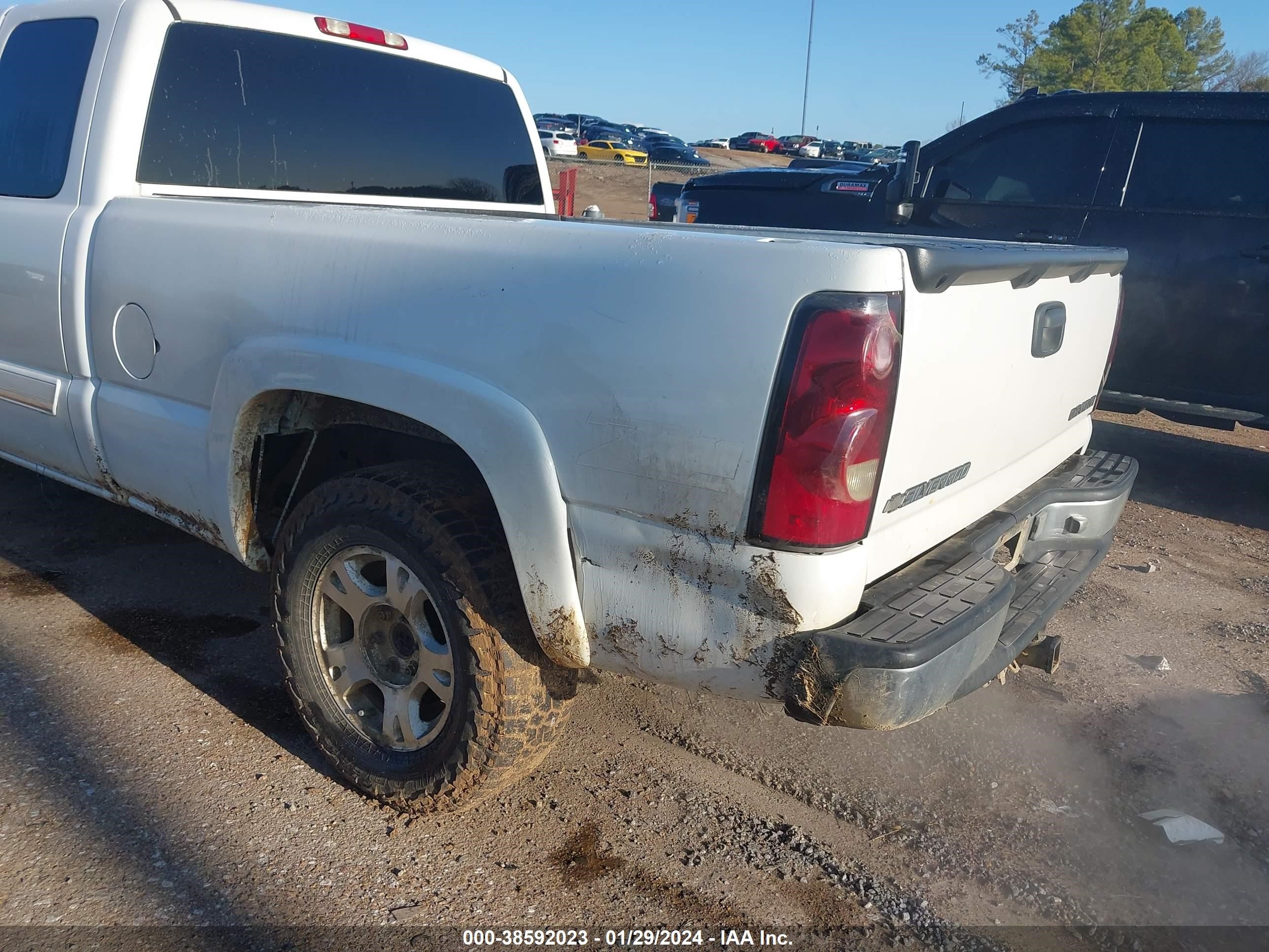 Photo 5 VIN: 1GCEK19B35E247419 - CHEVROLET SILVERADO 