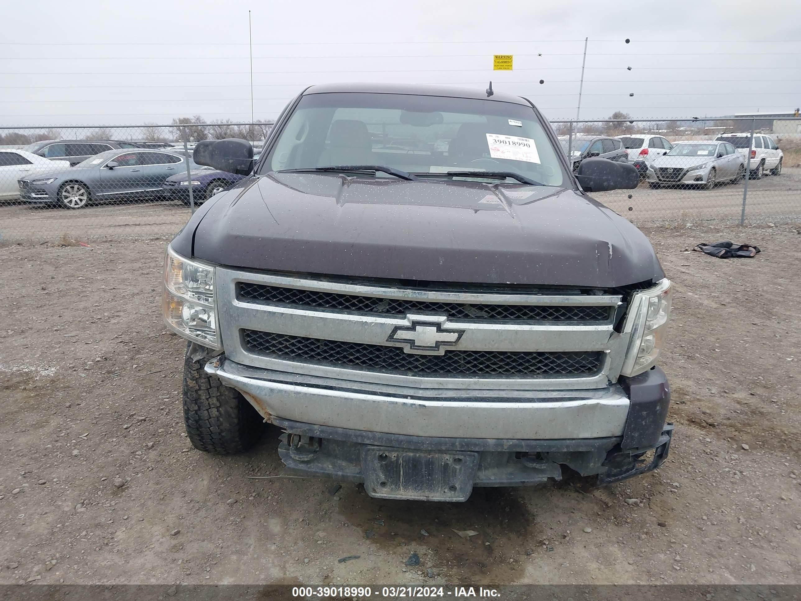 Photo 11 VIN: 1GCEK19J28Z112095 - CHEVROLET SILVERADO 