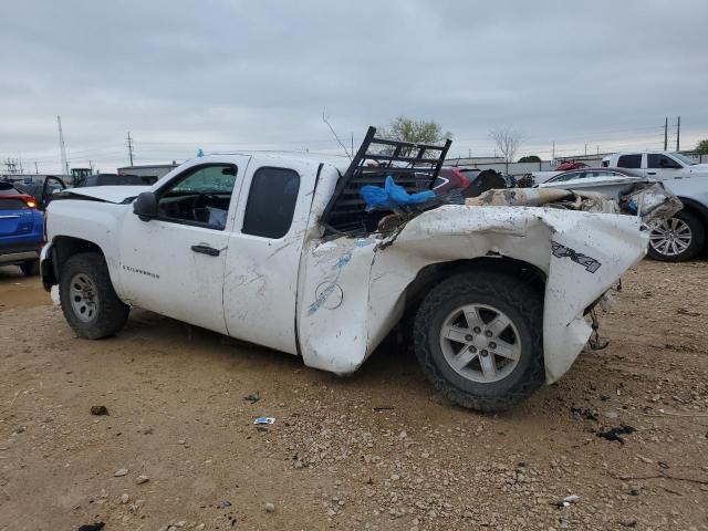 Photo 1 VIN: 1GCEK19JX8E165361 - CHEVROLET SILVERADO 