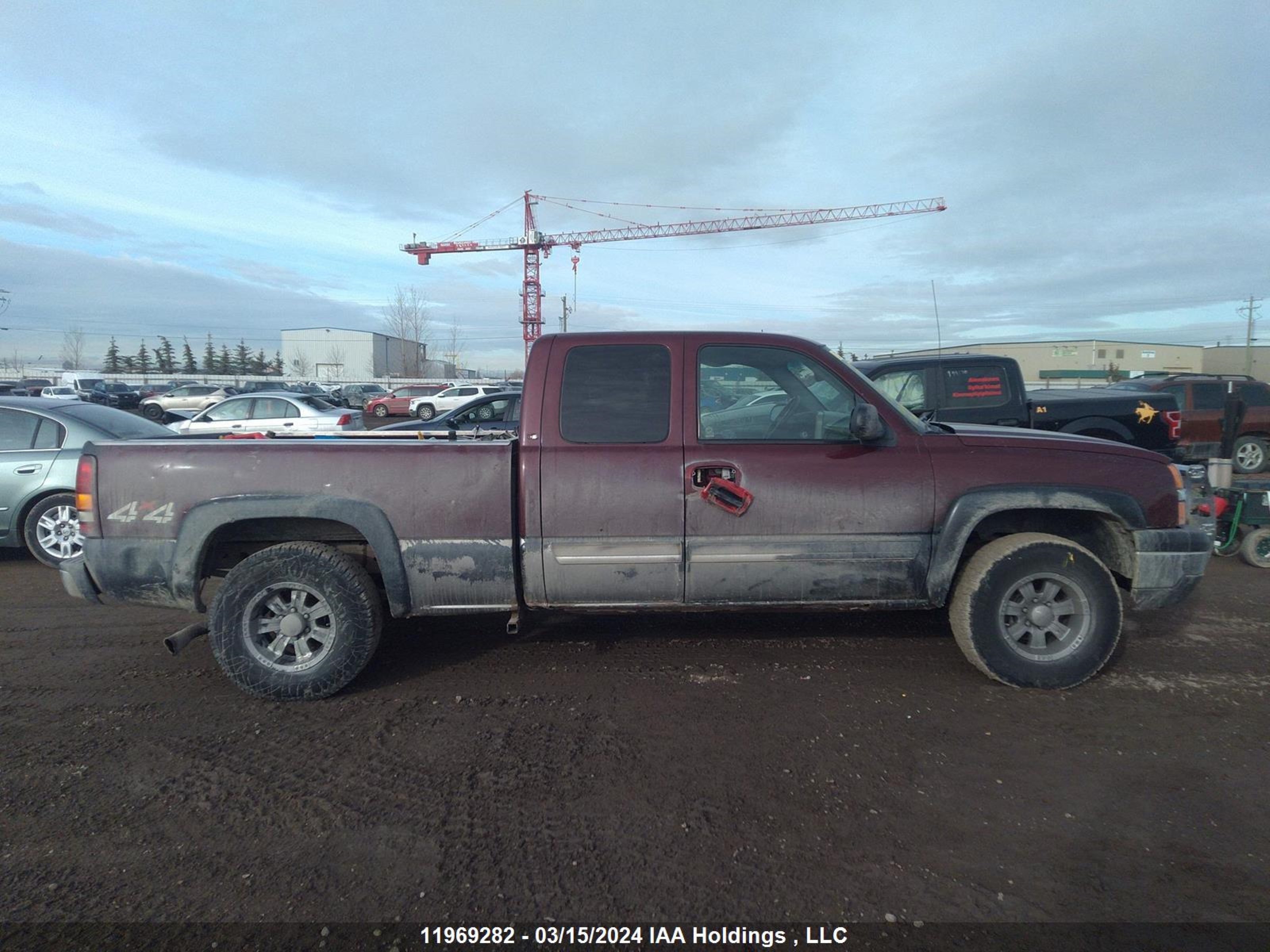 Photo 12 VIN: 1GCEK19T93Z115845 - CHEVROLET SILVERADO 