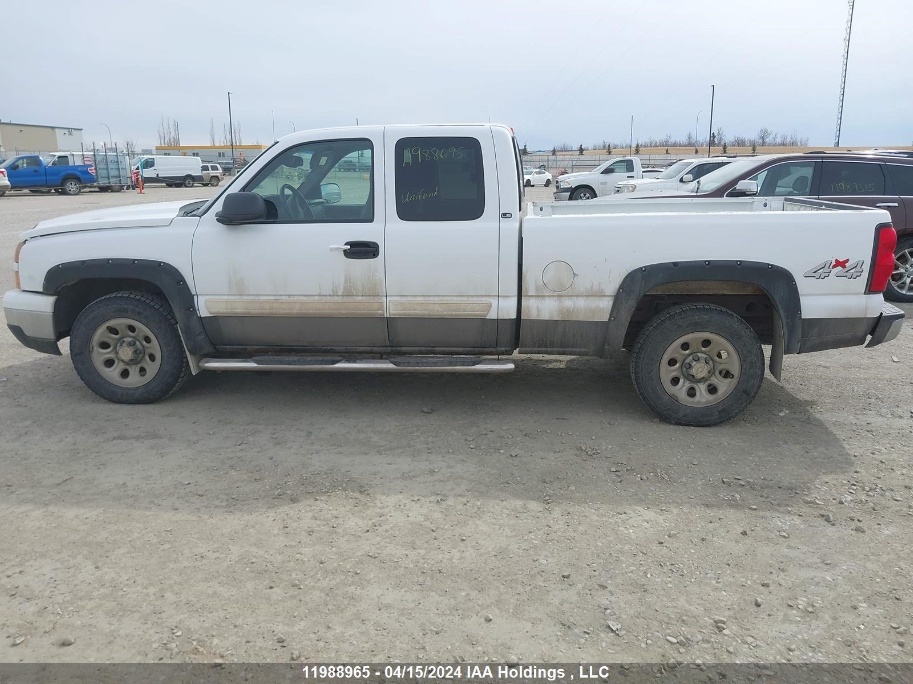 Photo 13 VIN: 1GCEK19V97Z164972 - CHEVROLET SILVERADO 