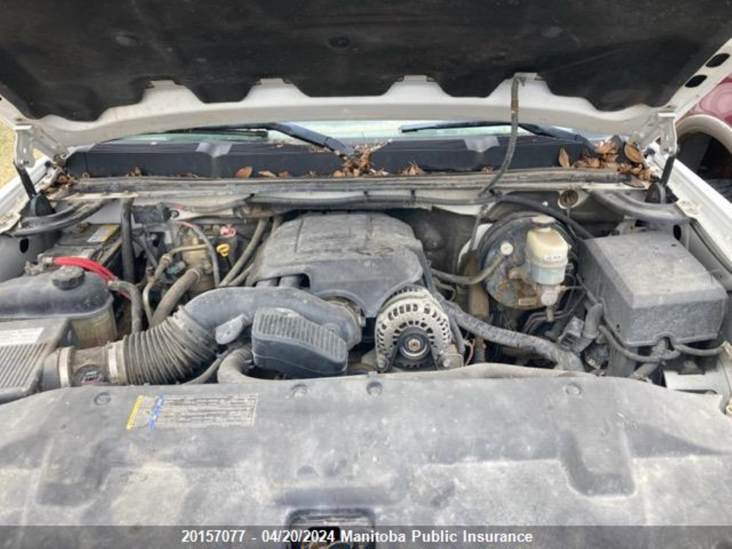 Photo 9 VIN: 1GCEK19YX8Z294027 - CHEVROLET NULL 