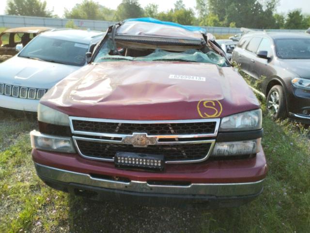 Photo 4 VIN: 1GCEK19Z27E135193 - CHEVROLET SILVERADO 