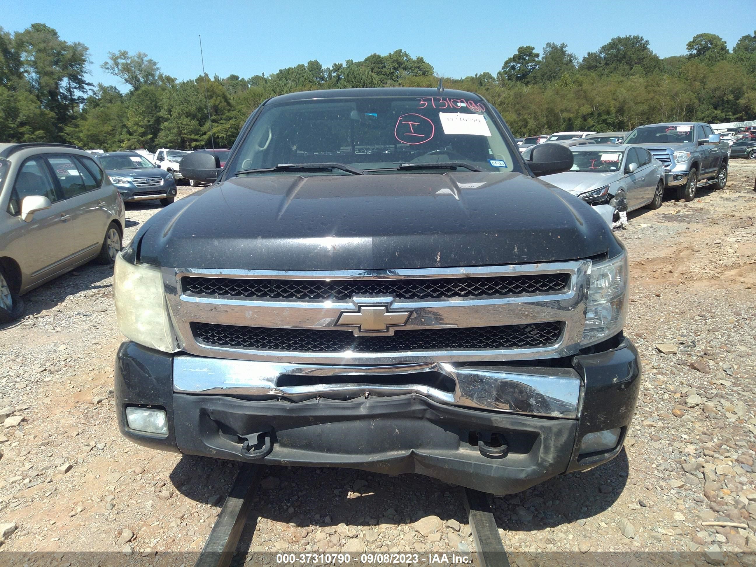 Photo 11 VIN: 1GCEK29049Z276818 - CHEVROLET SILVERADO 