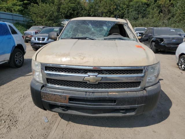 Photo 4 VIN: 1GCEK29J09Z151470 - CHEVROLET SILVERADO 