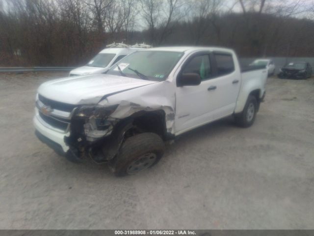 Photo 1 VIN: 1GCGTAE31F1199481 - CHEVROLET COLORADO 