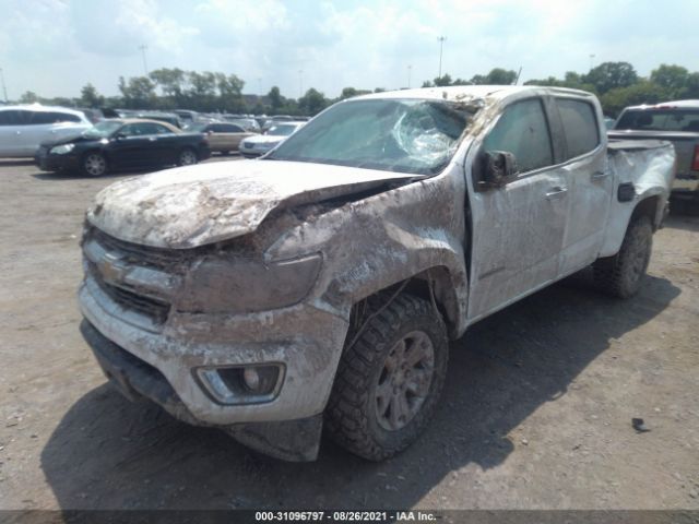 Photo 1 VIN: 1GCGTBE33F1141734 - CHEVROLET COLORADO 