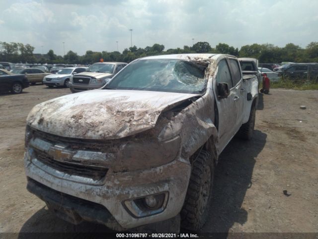 Photo 5 VIN: 1GCGTBE33F1141734 - CHEVROLET COLORADO 