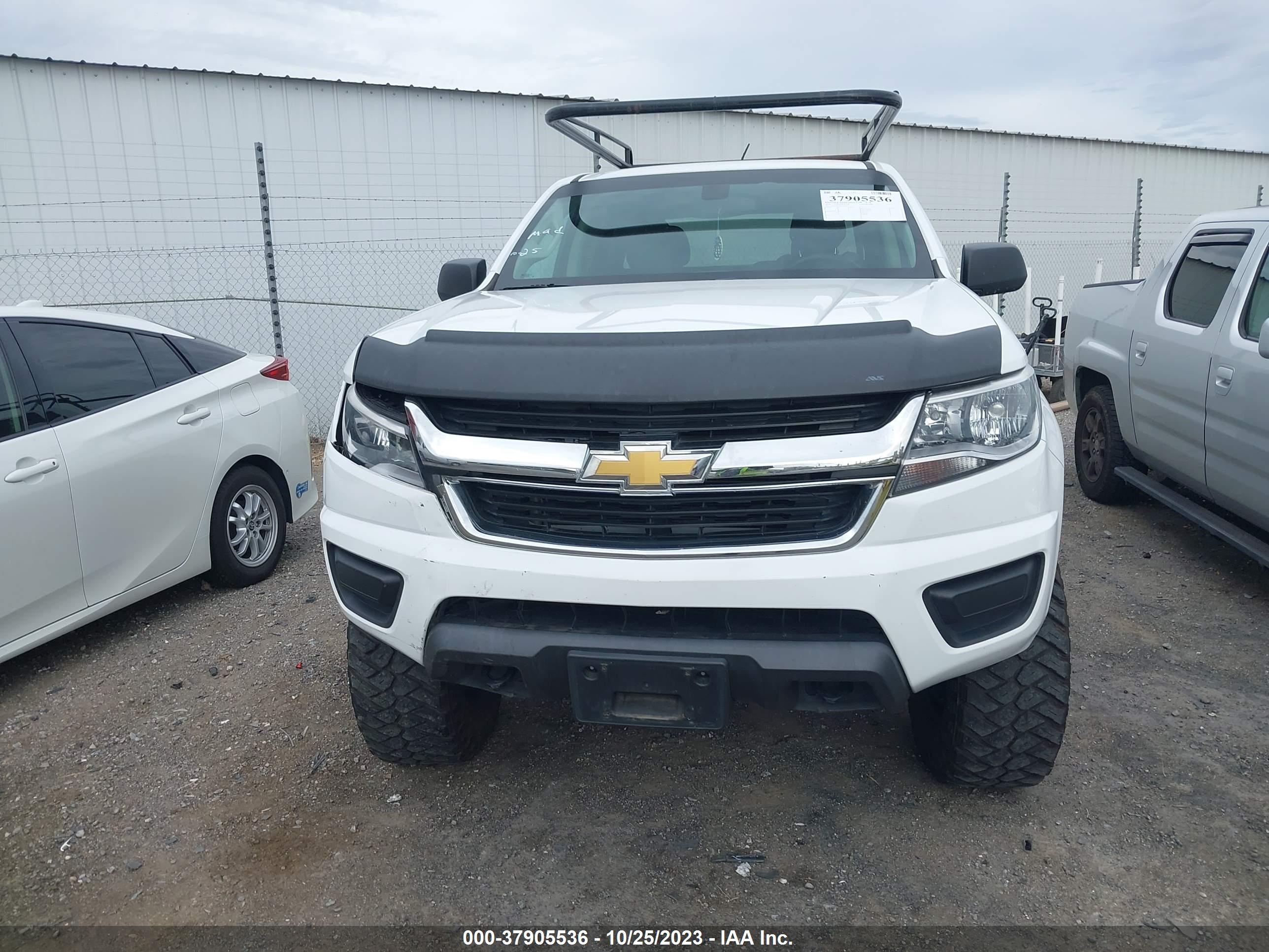 Photo 11 VIN: 1GCGTBEN0K1163007 - CHEVROLET COLORADO 