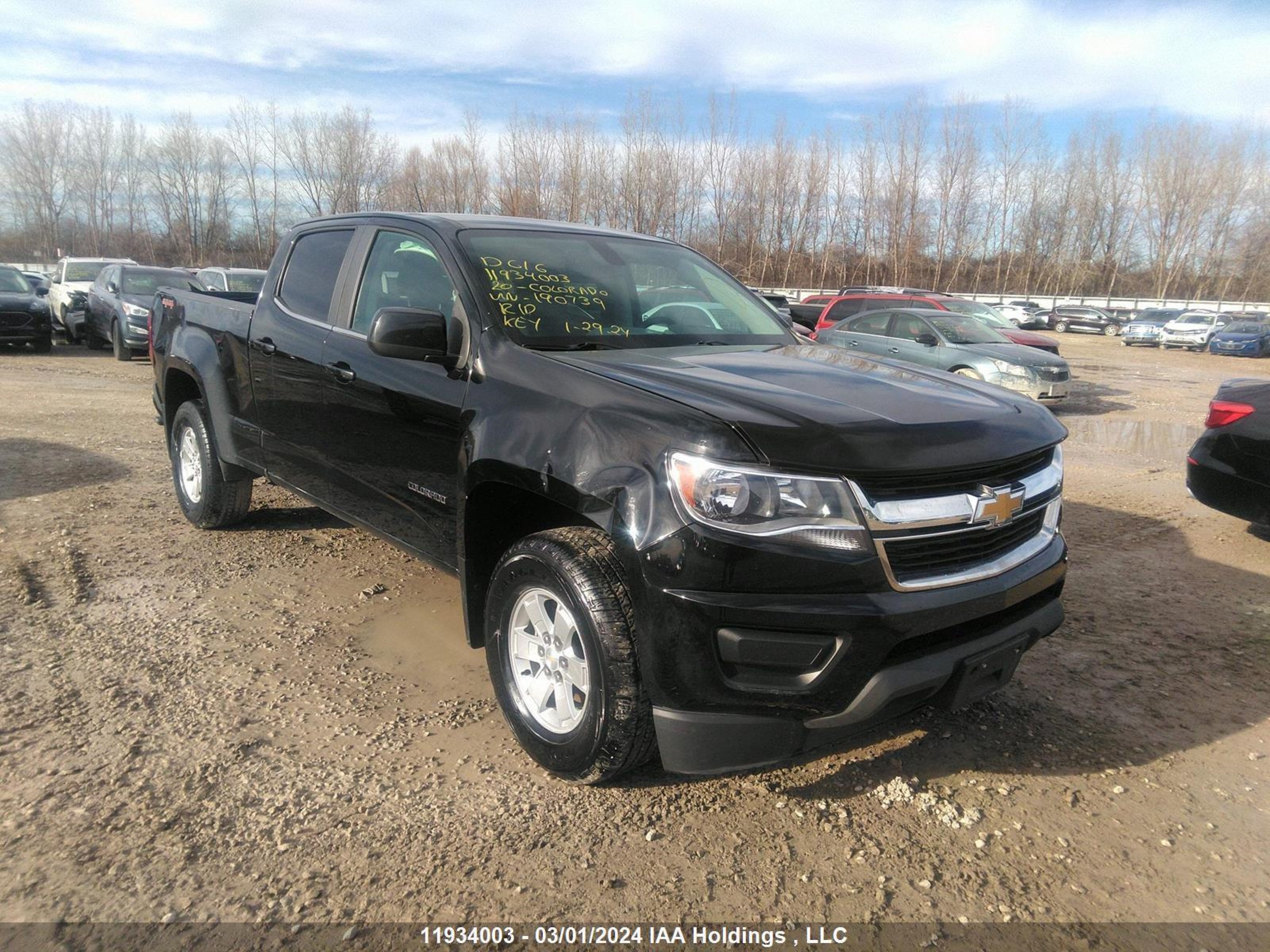 Photo 0 VIN: 1GCGTBEN9L1190739 - CHEVROLET COLORADO 