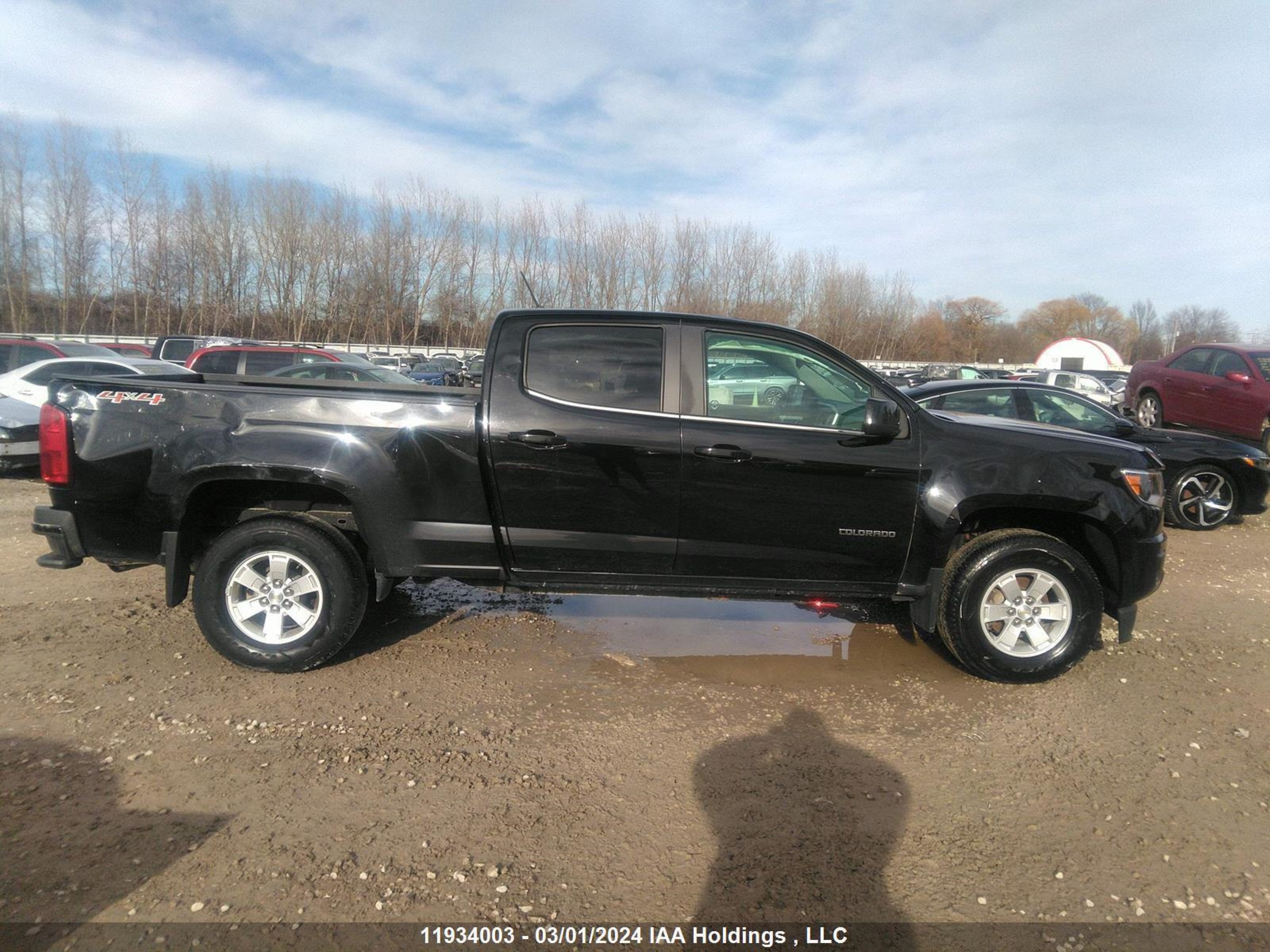 Photo 5 VIN: 1GCGTBEN9L1190739 - CHEVROLET COLORADO 