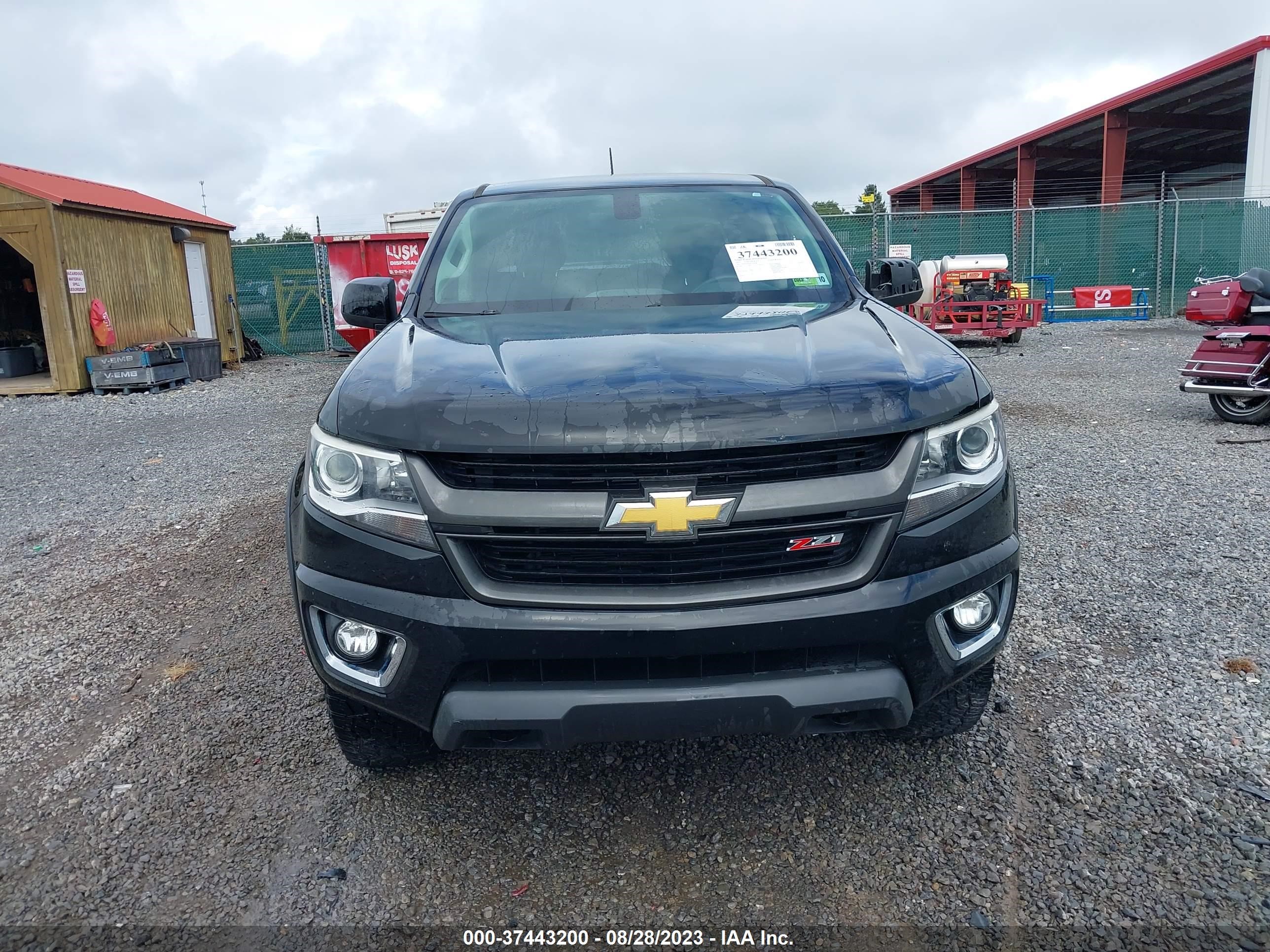 Photo 11 VIN: 1GCGTCE30F1174681 - CHEVROLET COLORADO 