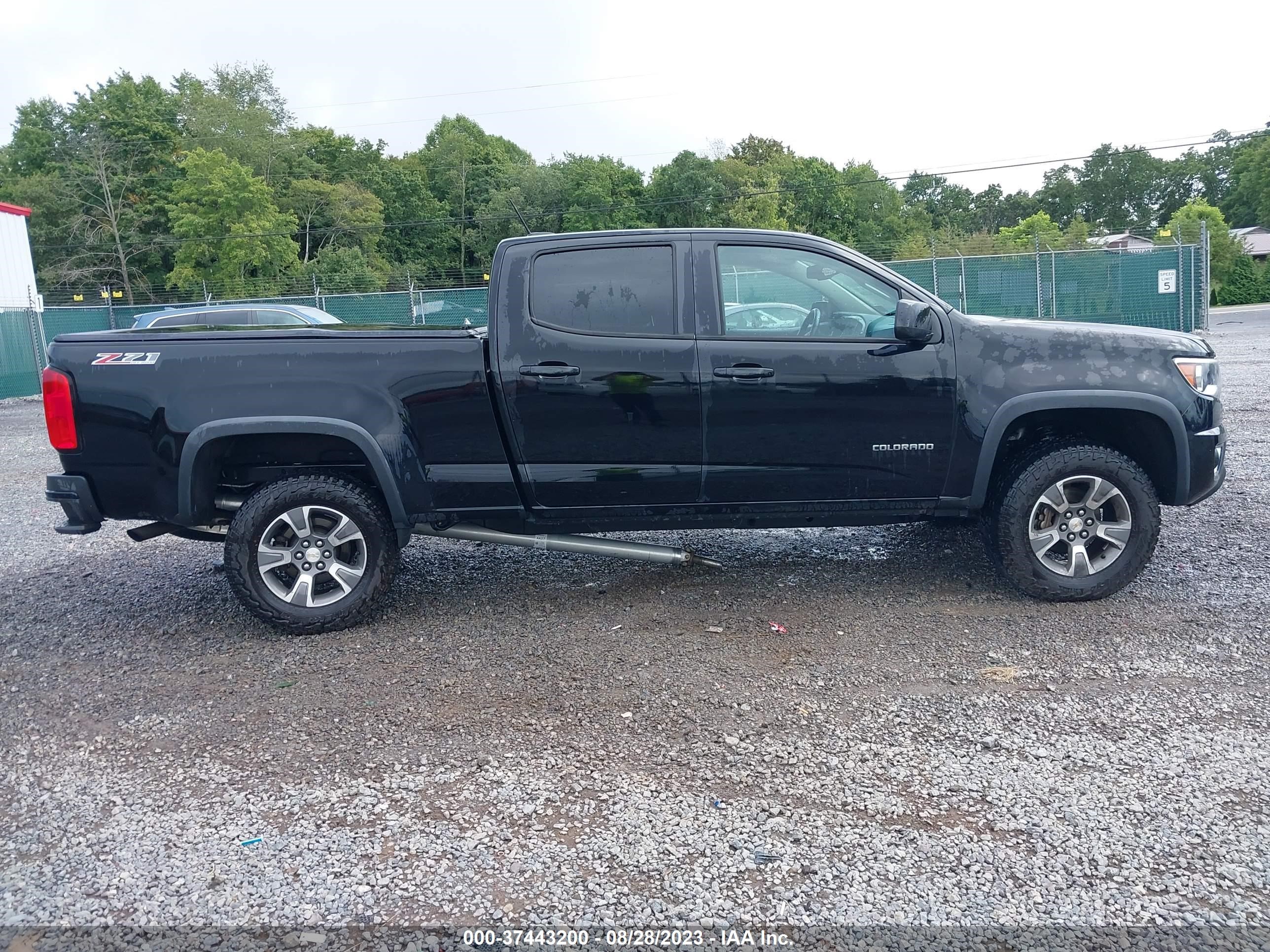 Photo 12 VIN: 1GCGTCE30F1174681 - CHEVROLET COLORADO 