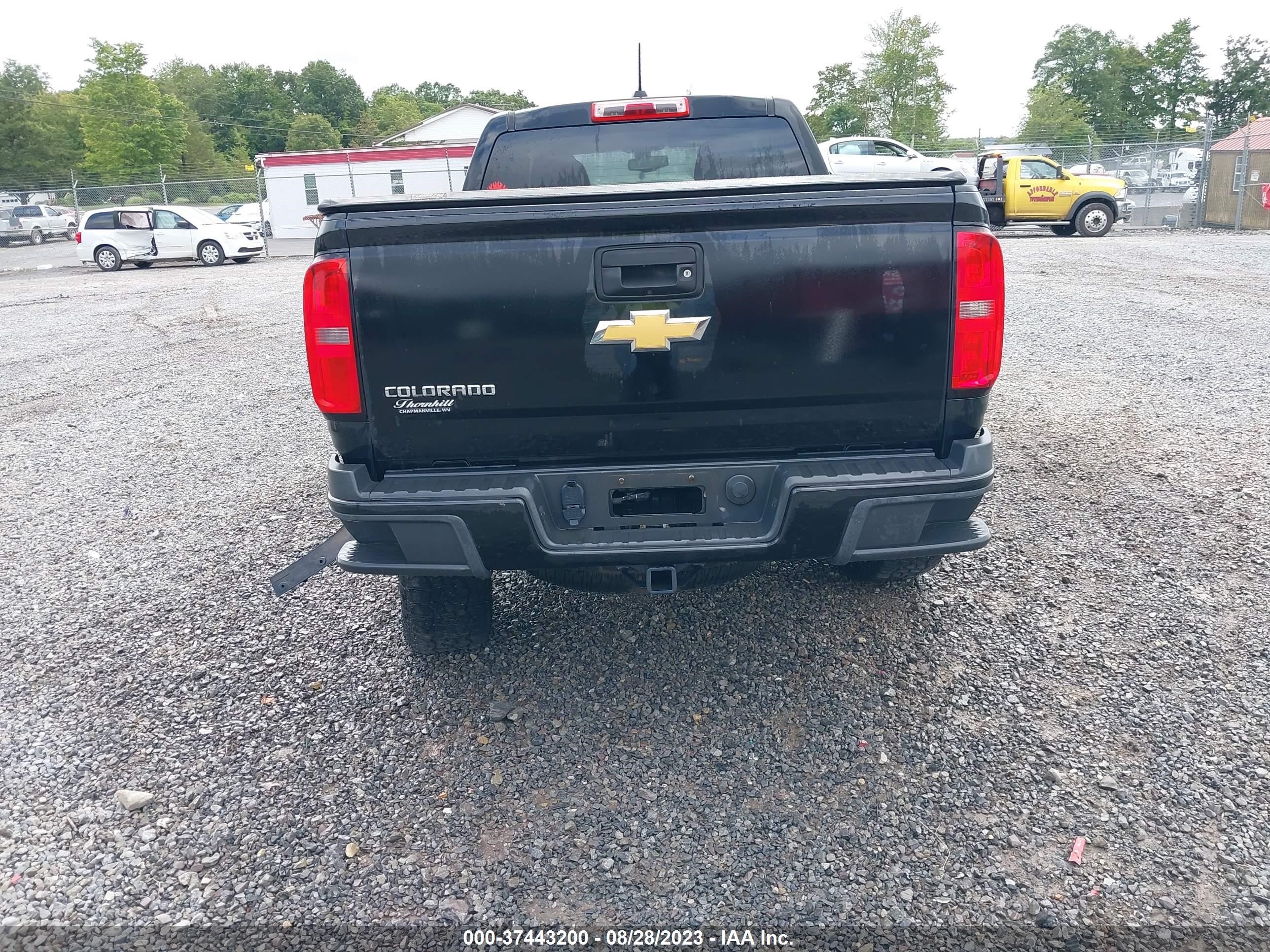 Photo 15 VIN: 1GCGTCE30F1174681 - CHEVROLET COLORADO 