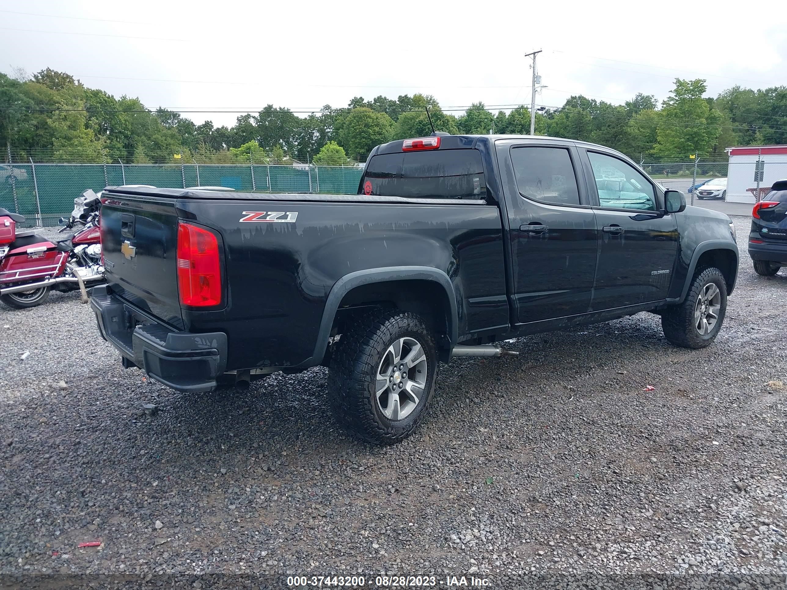 Photo 3 VIN: 1GCGTCE30F1174681 - CHEVROLET COLORADO 