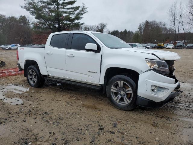 Photo 3 VIN: 1GCGTCE36G1259106 - CHEVROLET COLORADO 