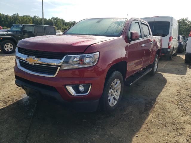 Photo 1 VIN: 1GCGTCEN0K1239072 - CHEVROLET COLORADO L 