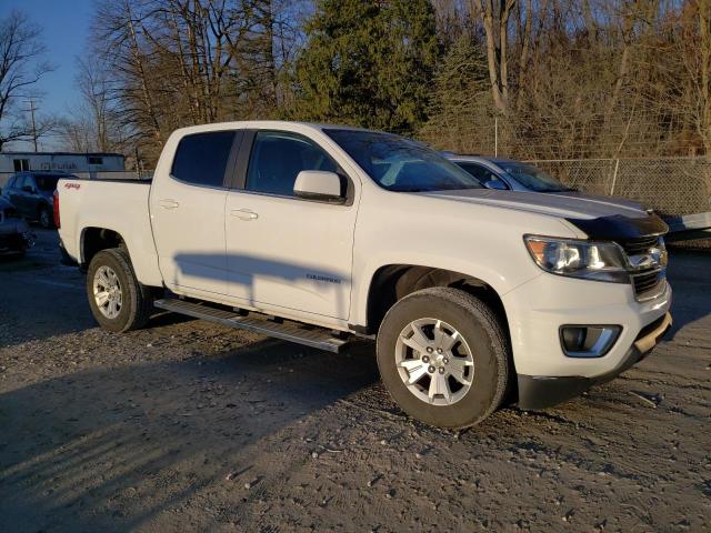 Photo 3 VIN: 1GCGTCEN1L1219513 - CHEVROLET COLORADO 