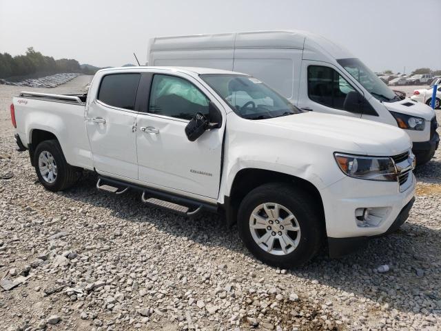 Photo 3 VIN: 1GCGTCEN1L1242869 - CHEVROLET COLORADO L 