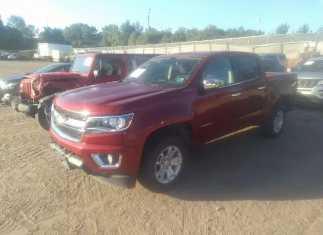 Photo 1 VIN: 1GCGTCEN5H1199600 - CHEVROLET COLORADO 