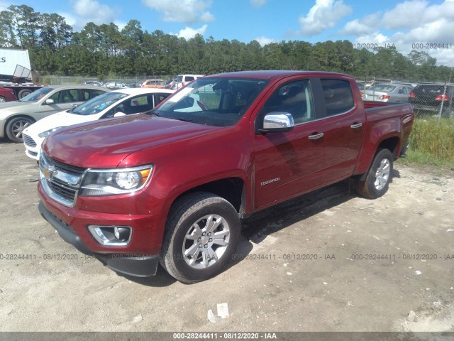 Photo 1 VIN: 1GCGTCEN5H1243644 - CHEVROLET COLORADO 