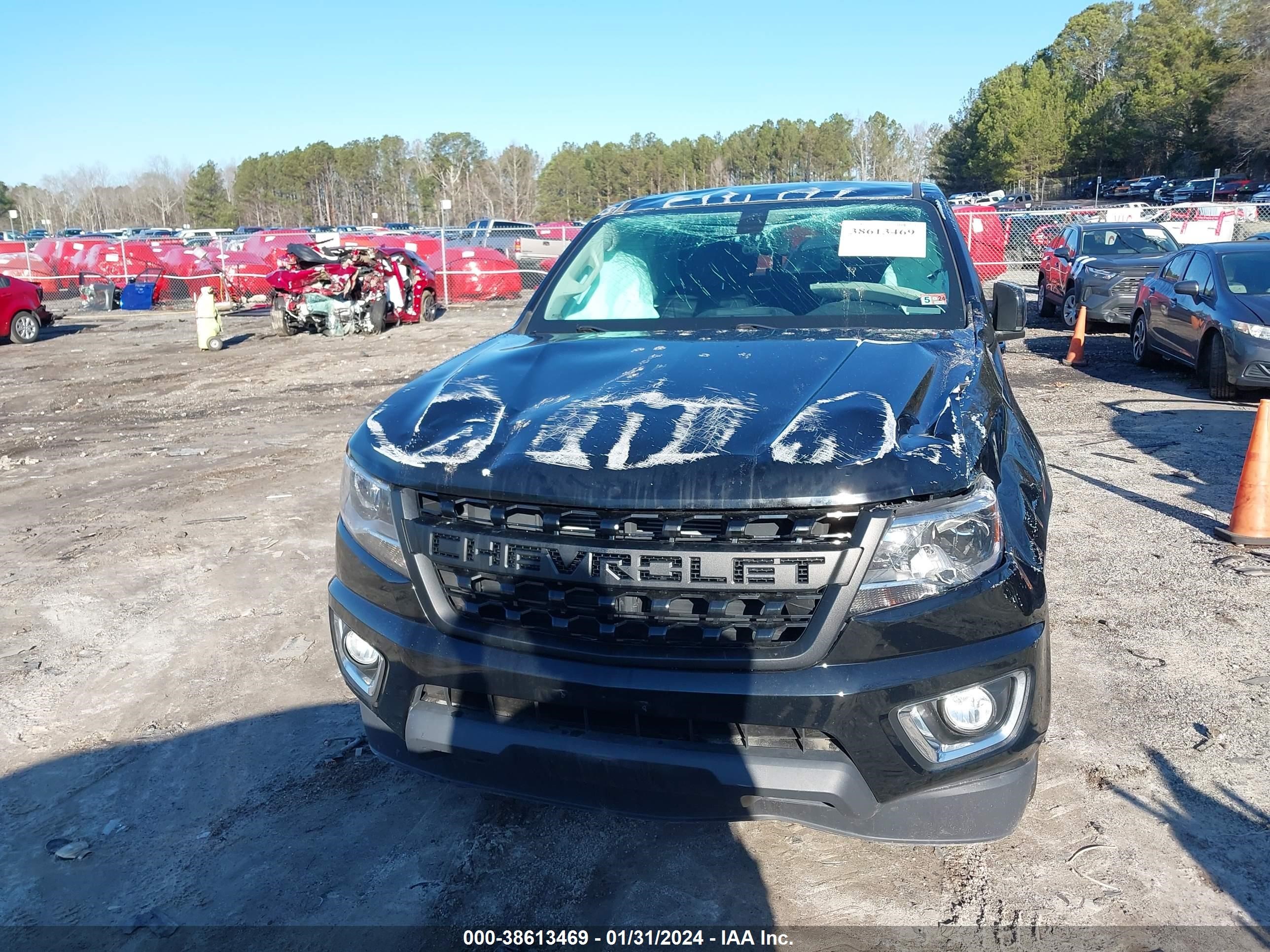 Photo 11 VIN: 1GCGTCEN5L1229042 - CHEVROLET COLORADO 