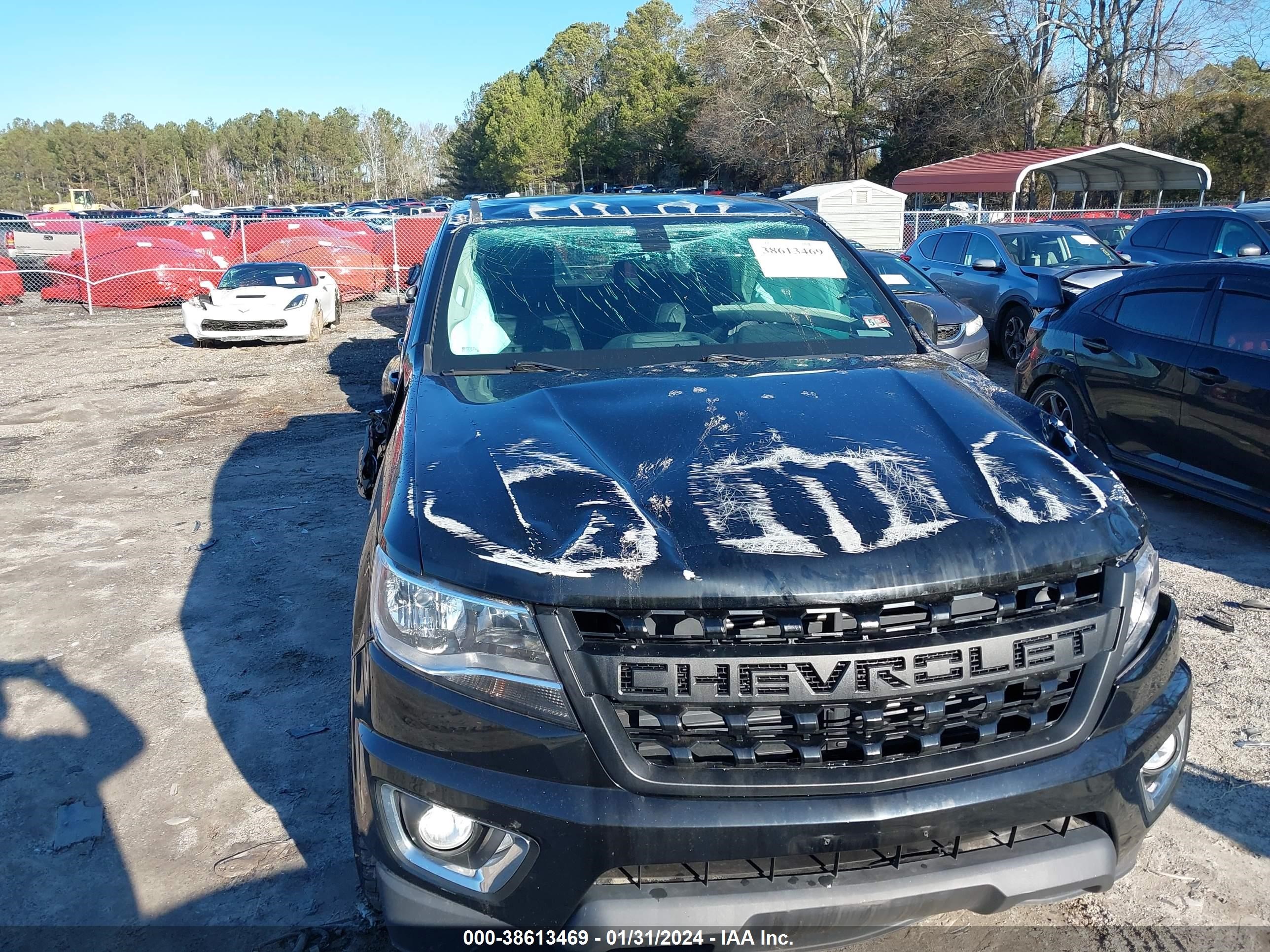 Photo 5 VIN: 1GCGTCEN5L1229042 - CHEVROLET COLORADO 