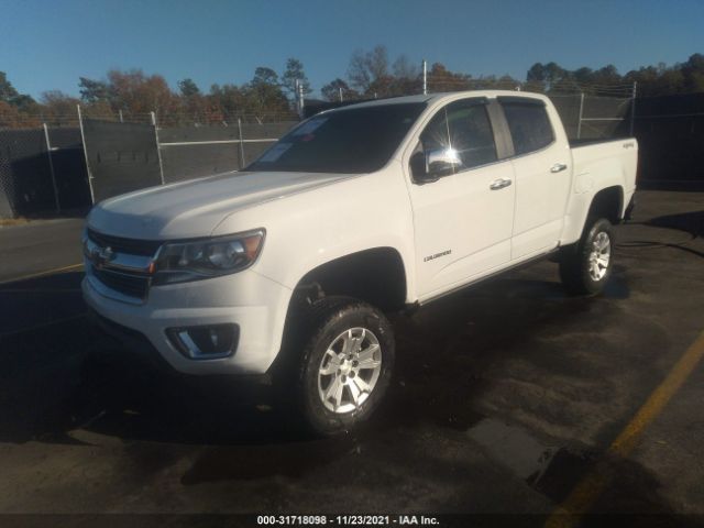 Photo 1 VIN: 1GCGTCEN7H1303911 - CHEVROLET COLORADO 