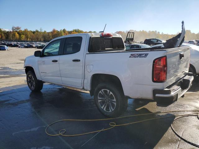 Photo 1 VIN: 1GCGTDEN6M1125361 - CHEVROLET COLORADO Z 