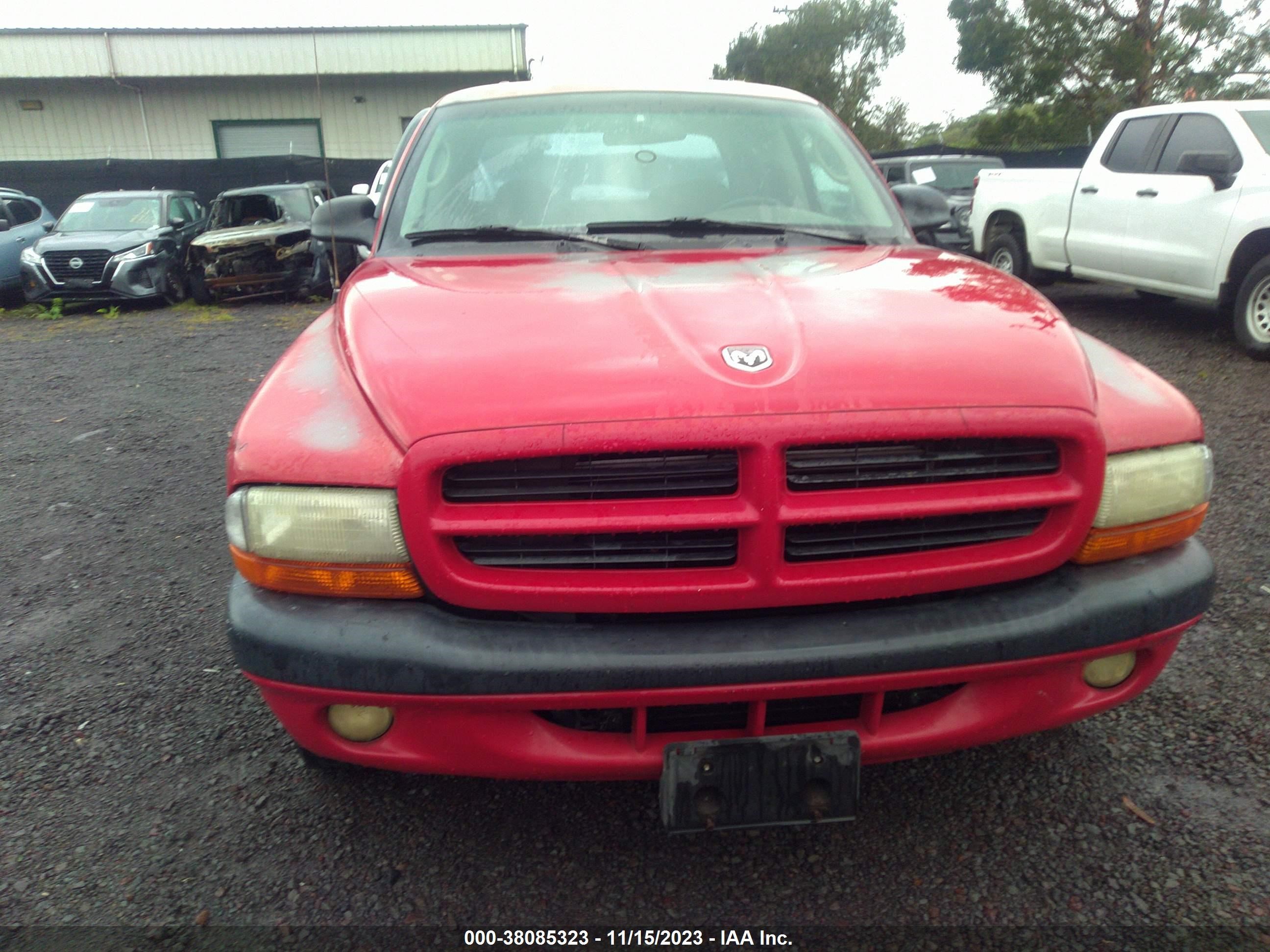 Photo 11 VIN: 1GCGTDEN8K1346277 - DODGE DAKOTA 