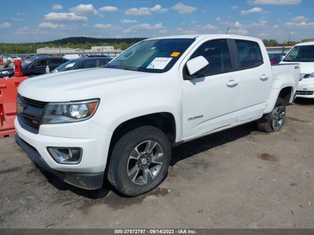 Photo 1 VIN: 1GCGTDENXH1181535 - CHEVROLET COLORADO 