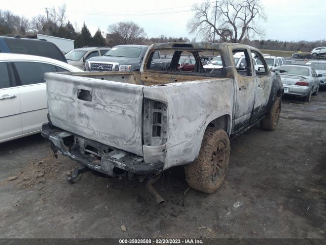 Photo 3 VIN: 1GCGTEEN5K1122664 - CHEVROLET COLORADO 