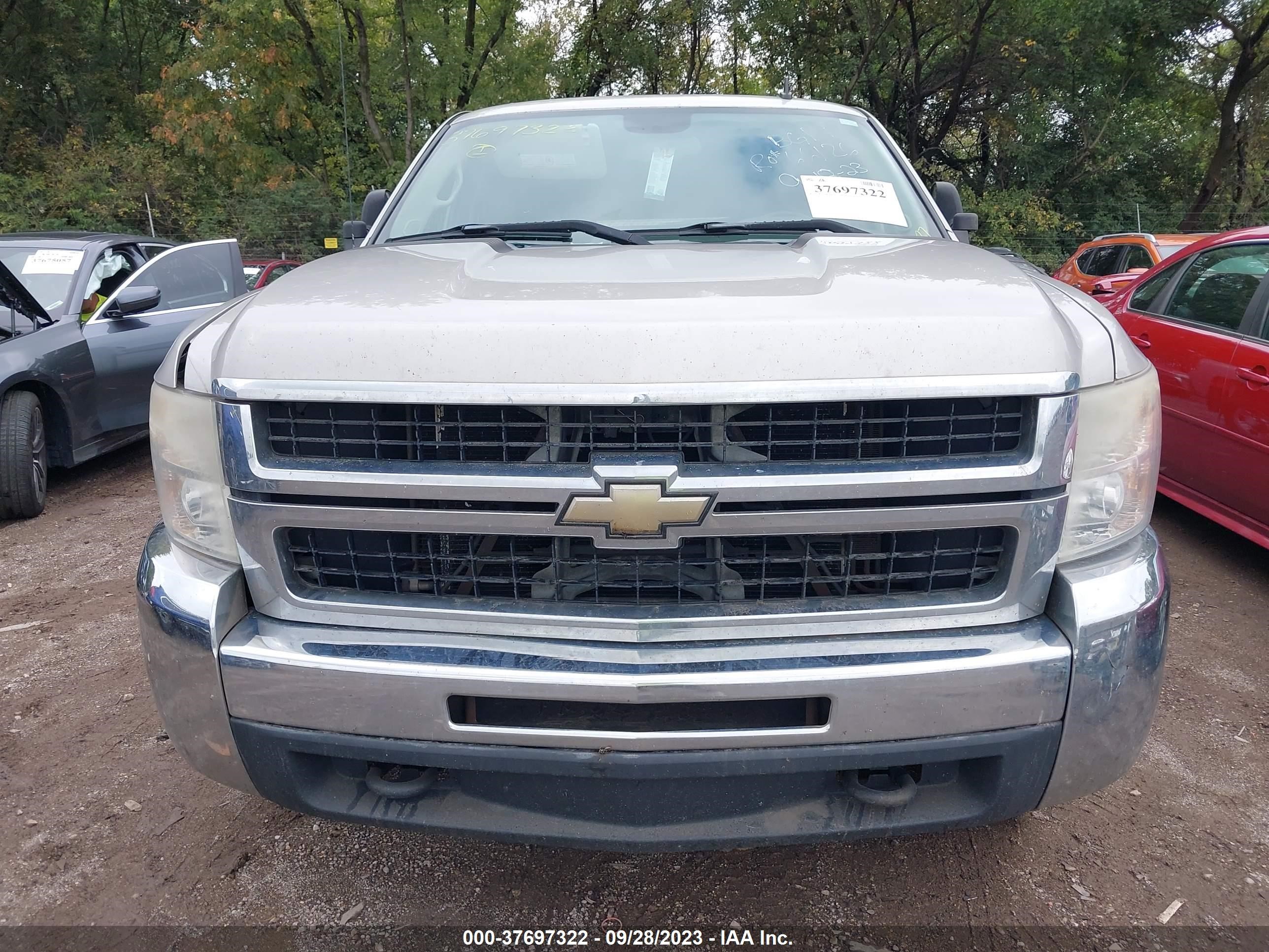 Photo 11 VIN: 1GCHC53K69F176047 - CHEVROLET SILVERADO 