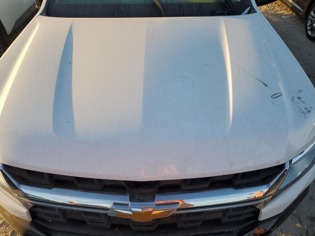 Photo 10 VIN: 1GCHSBEA0M1111142 - CHEVROLET COLORADO 