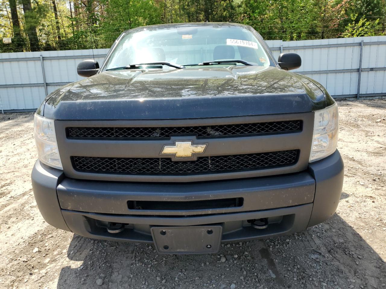 Photo 4 VIN: 1GCNCPEX9BZ379042 - CHEVROLET SILVERADO 