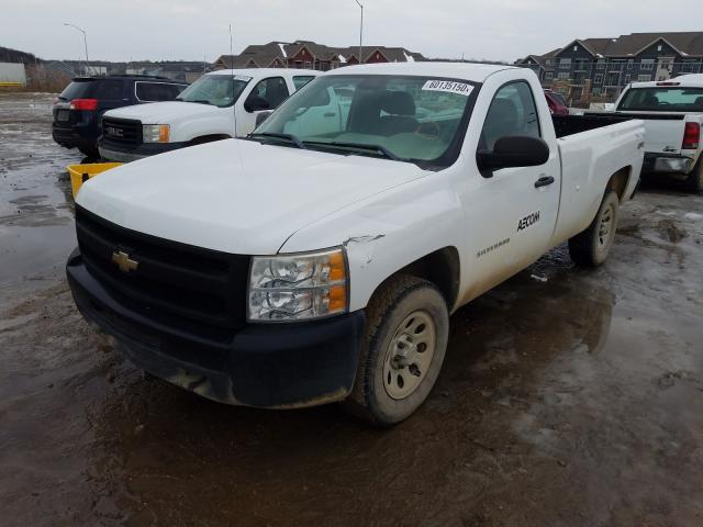 Photo 1 VIN: 1GCNKPEA6BZ282833 - CHEVROLET SILVERADO 