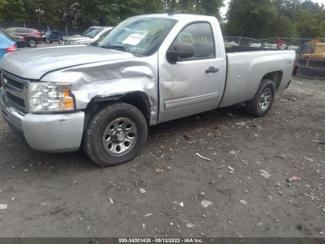 Photo 1 VIN: 1GCNKSE01BZ218886 - CHEVROLET SILVERADO 1500 