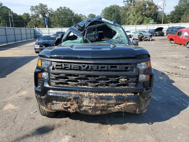 Photo 4 VIN: 1GCPDBEK1RZ107799 - CHEVROLET SILVERADO 