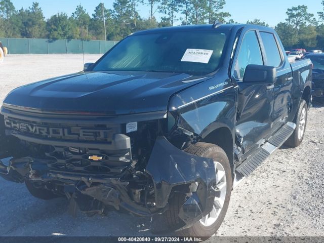 Photo 1 VIN: 1GCPDBEK1RZ231295 - CHEVROLET SILVERADO 