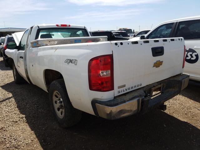 Photo 2 VIN: 1GCPKPE00AZ189904 - CHEVROLET SILVERADO 