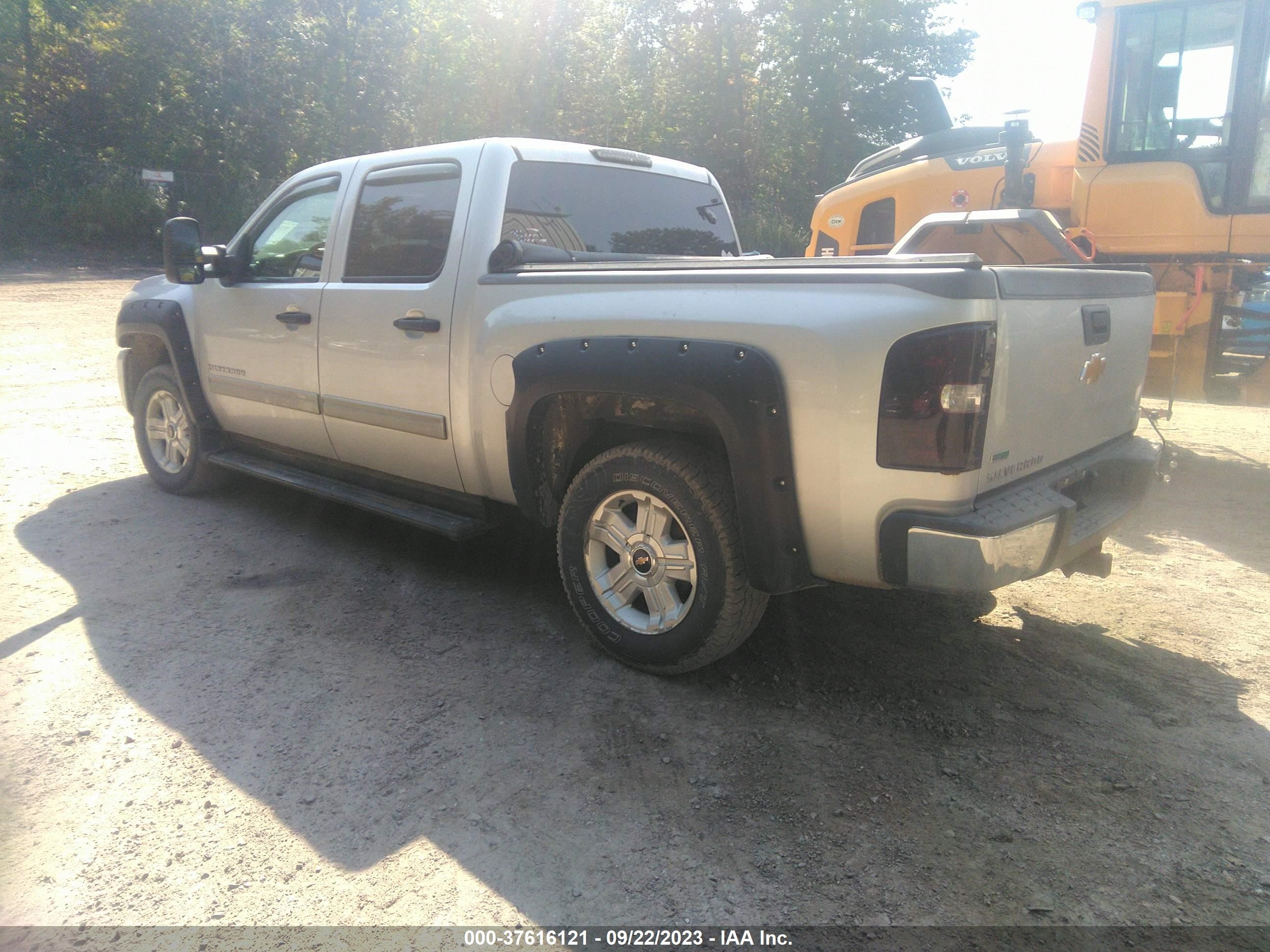 Photo 2 VIN: 1GCPKSE35BF146238 - CHEVROLET SILVERADO 