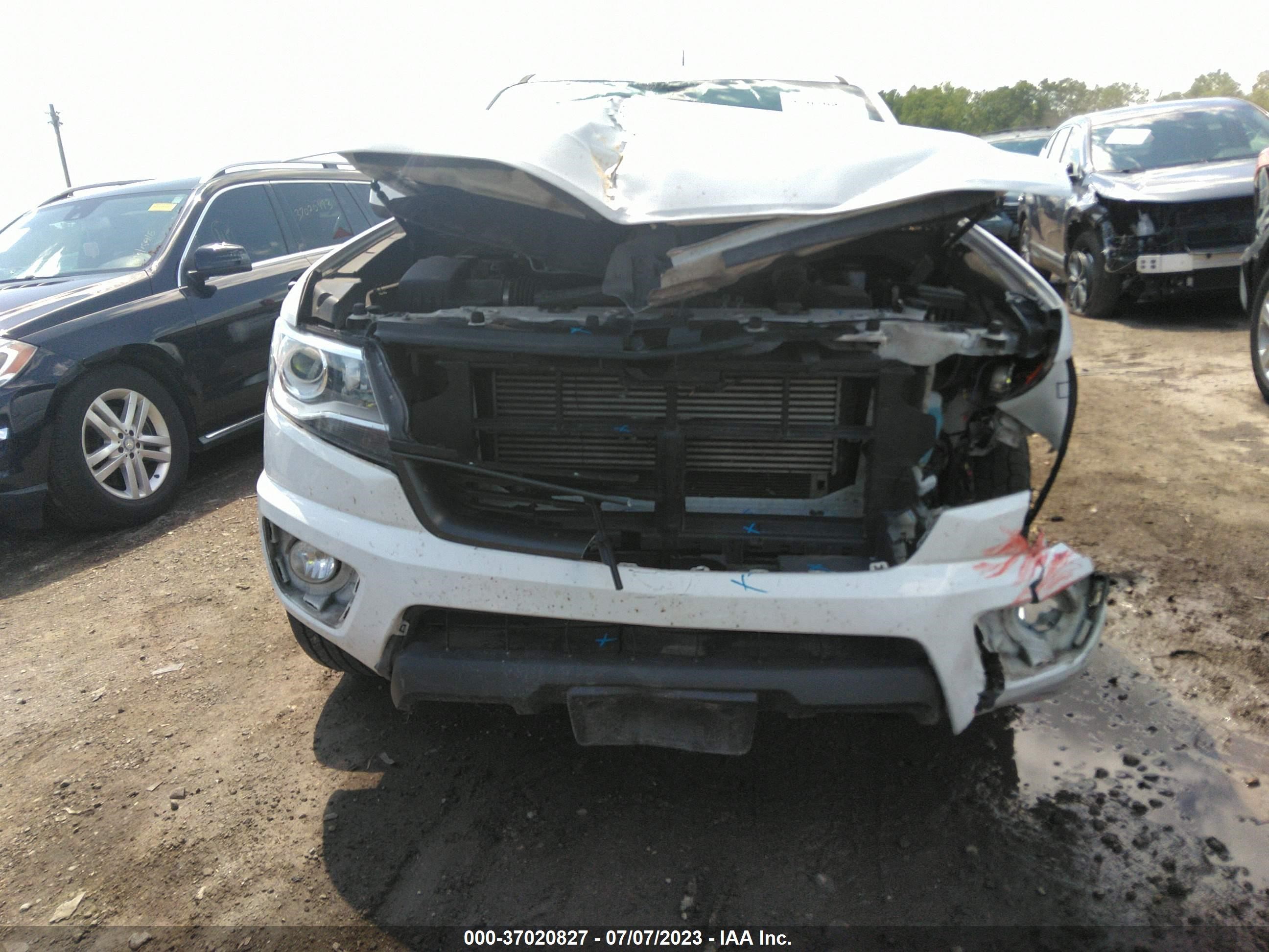 Photo 11 VIN: 1GCPTDE13K1205145 - CHEVROLET COLORADO 