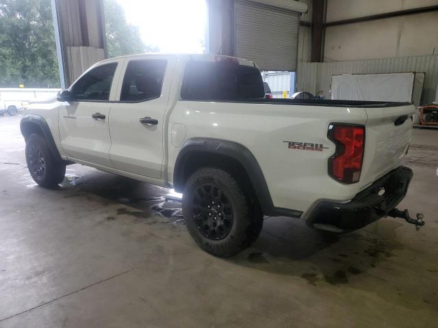 Photo 1 VIN: 1GCPTEEK2R1168744 - CHEVROLET COLORADO T 