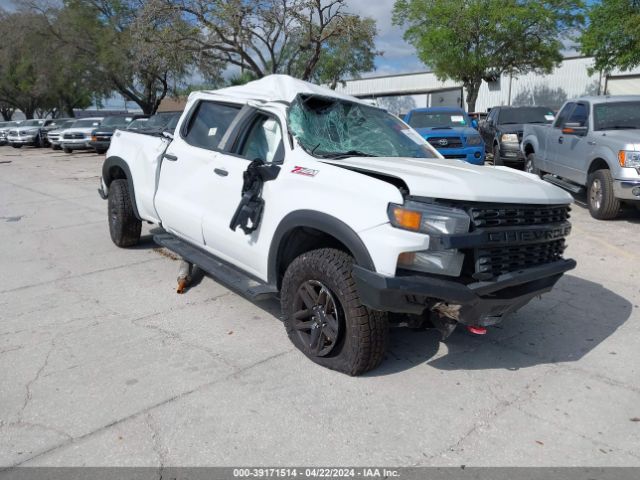 Photo 5 VIN: 1GCPYCEF1LZ300670 - CHEVROLET SILVERADO 1500 