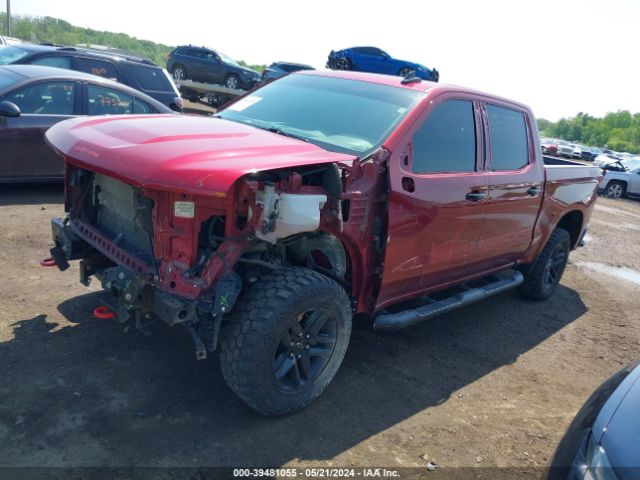 Photo 1 VIN: 1GCPYFED8LZ301377 - CHEVROLET SILVERADO 1500 