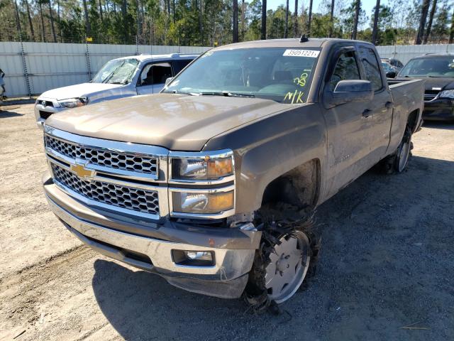 Photo 1 VIN: 1GCRCREC8EZ103319 - CHEVROLET SILVERADO 